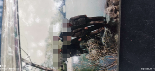 打3.png