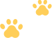 100236x6sr41u6q51or2xc.png