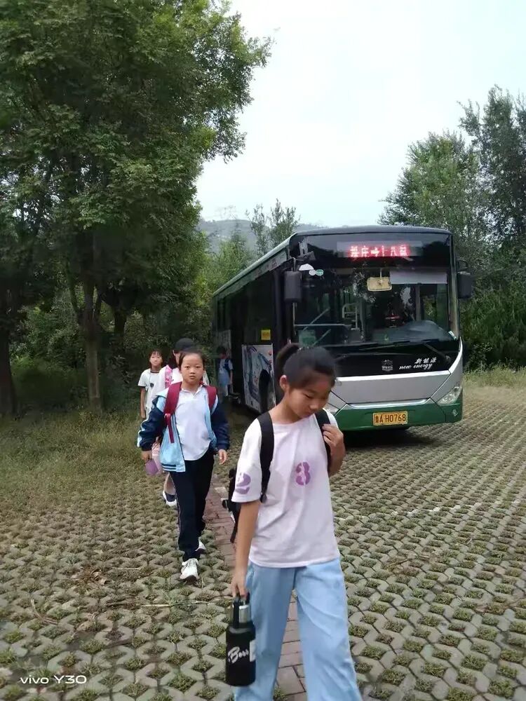 093058jvvpzrozp3zv3rql.jpeg