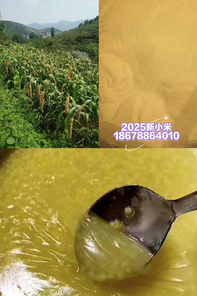 20250915212038front2_0_47636_FmaAcu5lrhkCzUYjgHJHDChZ-BfQ.jpg
