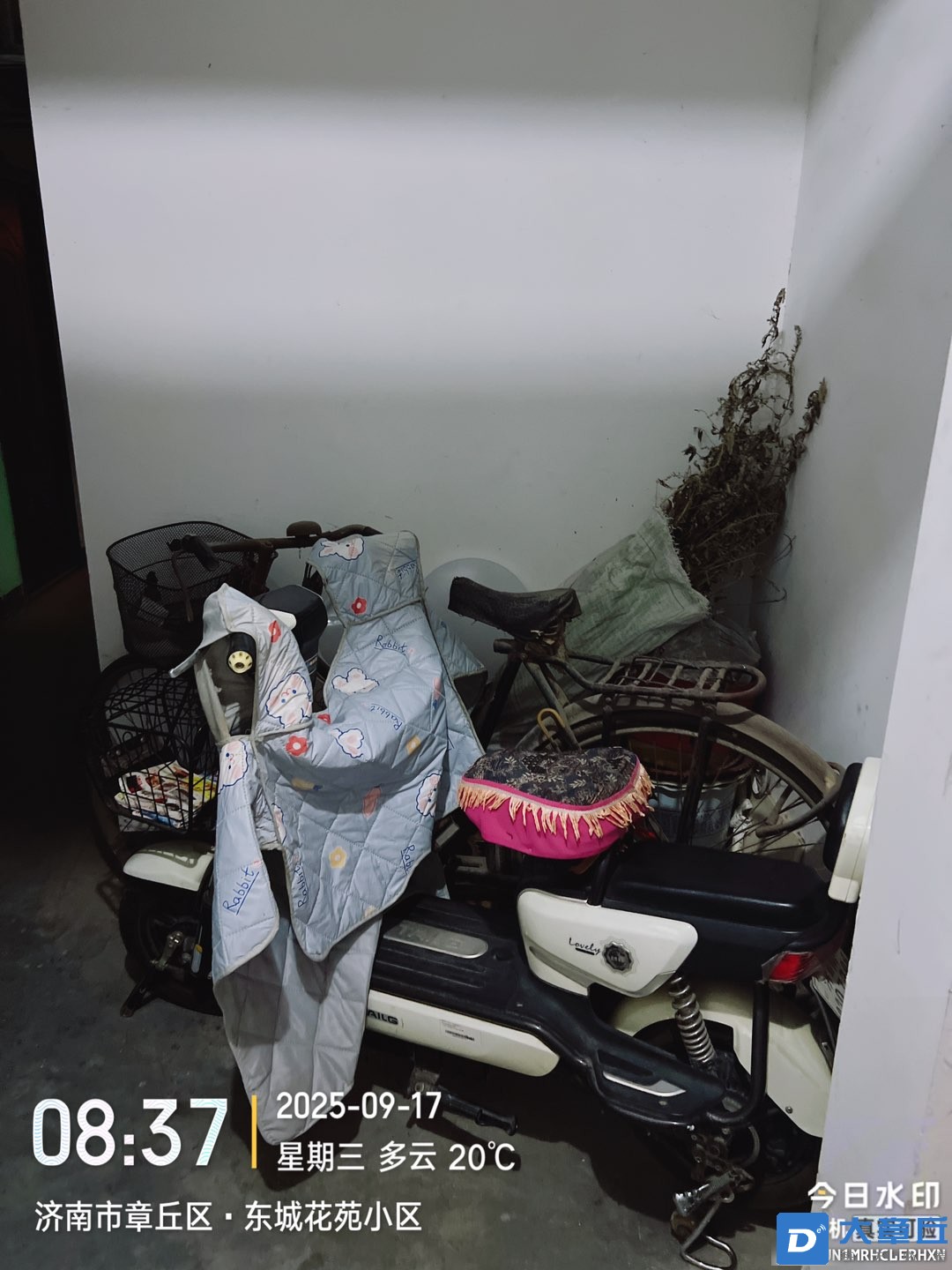 20250917090202front1_0_192763_Fj6ArWRSXAI4EJQYw3yARARWys42.jpg