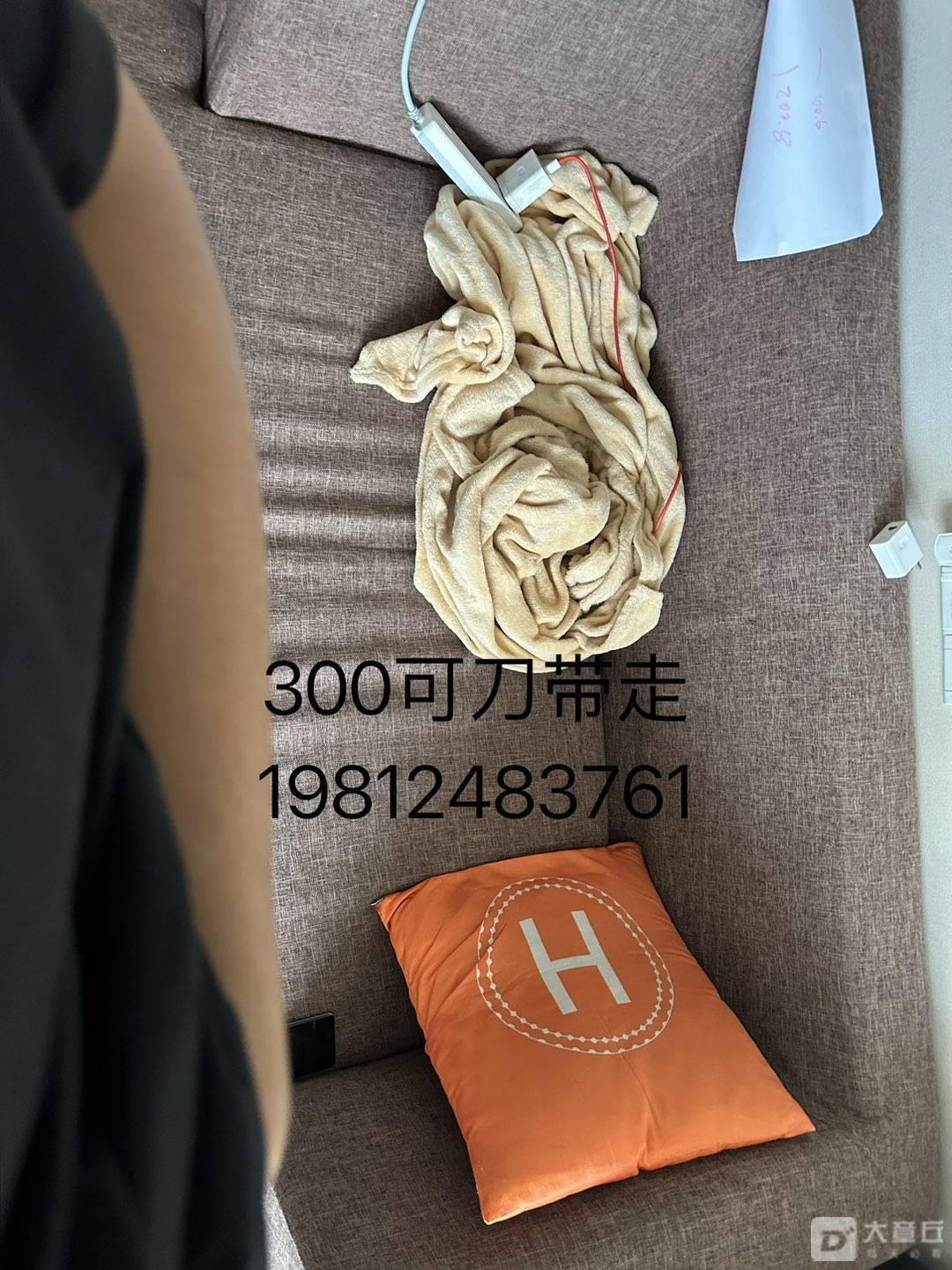 114302f5i2cp4pu5fp20t5.jpeg