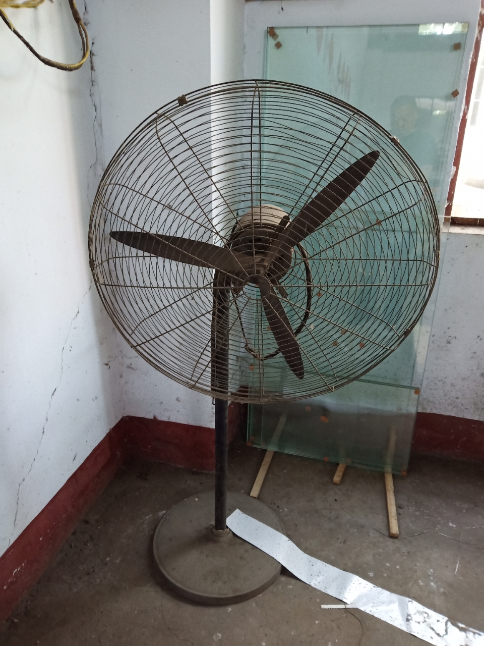 三相电风扇60元相公自提